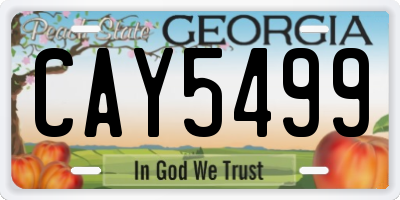 GA license plate CAY5499