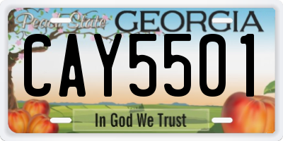 GA license plate CAY5501