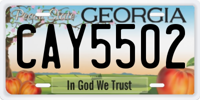 GA license plate CAY5502