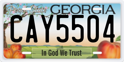 GA license plate CAY5504
