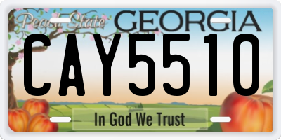 GA license plate CAY5510
