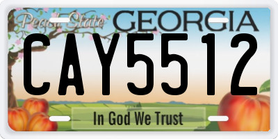 GA license plate CAY5512
