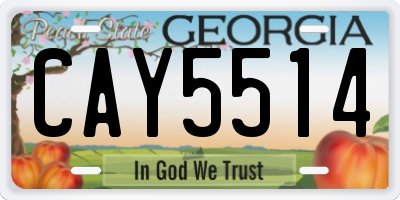 GA license plate CAY5514