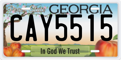 GA license plate CAY5515
