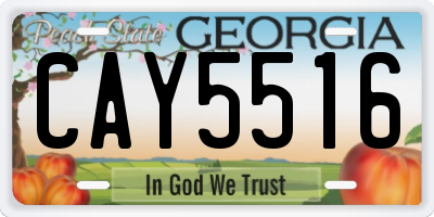 GA license plate CAY5516