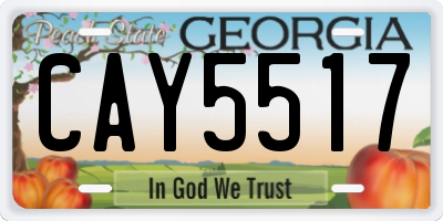 GA license plate CAY5517
