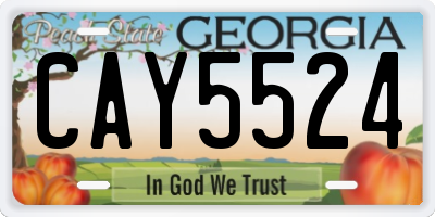 GA license plate CAY5524