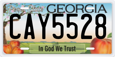 GA license plate CAY5528