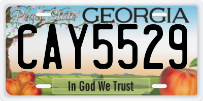 GA license plate CAY5529