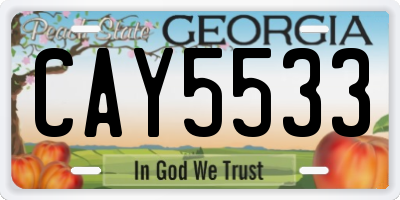 GA license plate CAY5533
