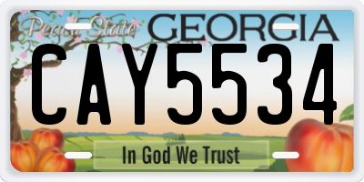 GA license plate CAY5534