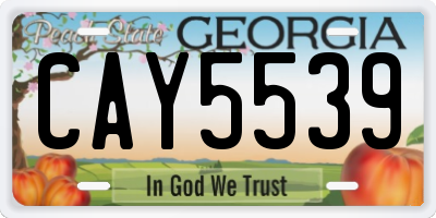GA license plate CAY5539