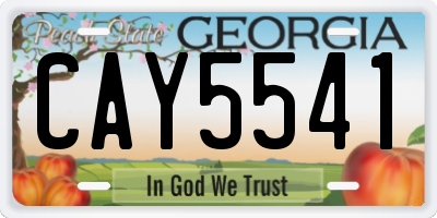 GA license plate CAY5541