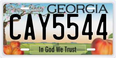 GA license plate CAY5544
