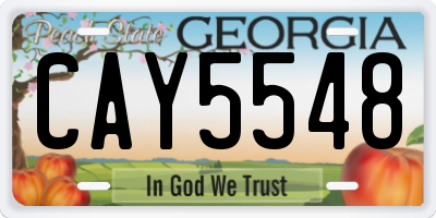 GA license plate CAY5548