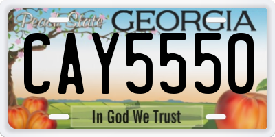GA license plate CAY5550