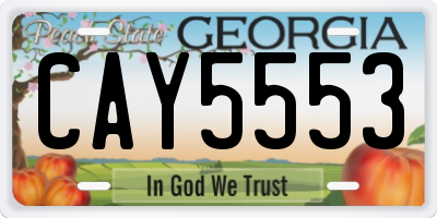 GA license plate CAY5553