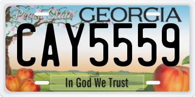 GA license plate CAY5559