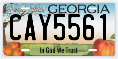 GA license plate CAY5561