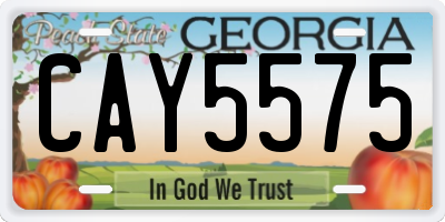 GA license plate CAY5575