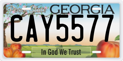 GA license plate CAY5577