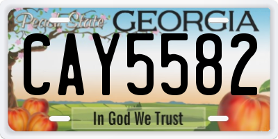 GA license plate CAY5582