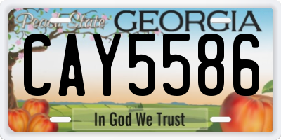 GA license plate CAY5586