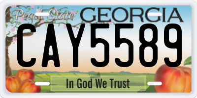 GA license plate CAY5589