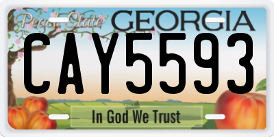 GA license plate CAY5593