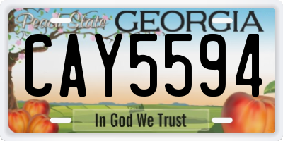 GA license plate CAY5594