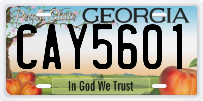 GA license plate CAY5601