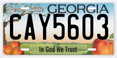 GA license plate CAY5603
