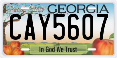 GA license plate CAY5607