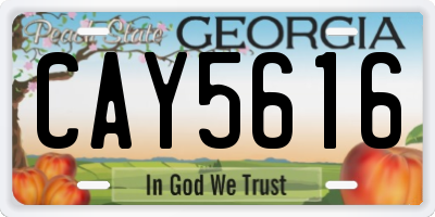 GA license plate CAY5616