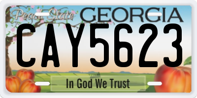 GA license plate CAY5623