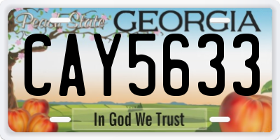 GA license plate CAY5633