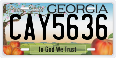 GA license plate CAY5636