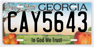 GA license plate CAY5643