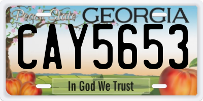 GA license plate CAY5653