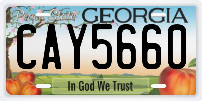 GA license plate CAY5660