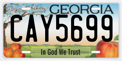 GA license plate CAY5699