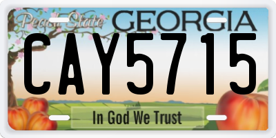 GA license plate CAY5715