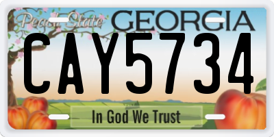 GA license plate CAY5734