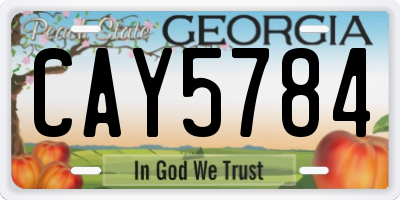 GA license plate CAY5784