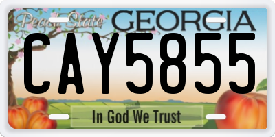 GA license plate CAY5855