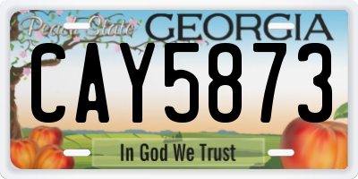 GA license plate CAY5873