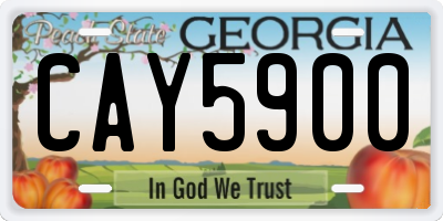 GA license plate CAY5900