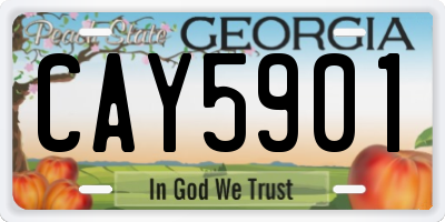 GA license plate CAY5901