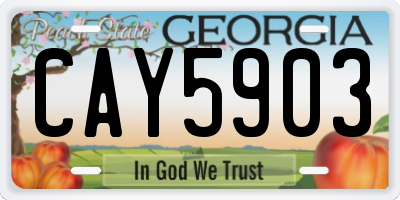 GA license plate CAY5903