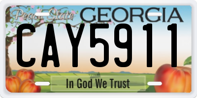 GA license plate CAY5911